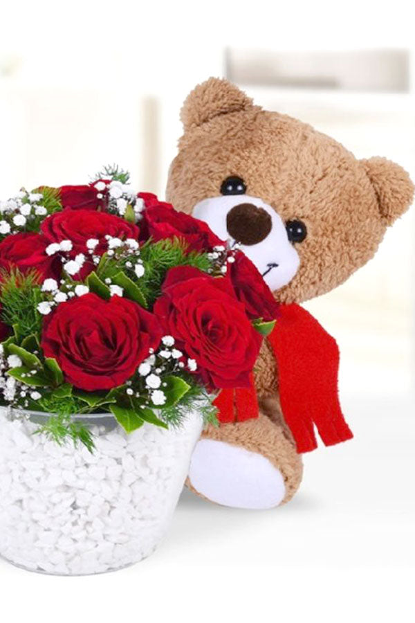 Red Rose With Teddy – Romantic Fresh Rose and Soft Plush Bear Combo Gift
