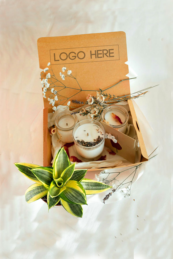Air-purifying plant and candle gift box