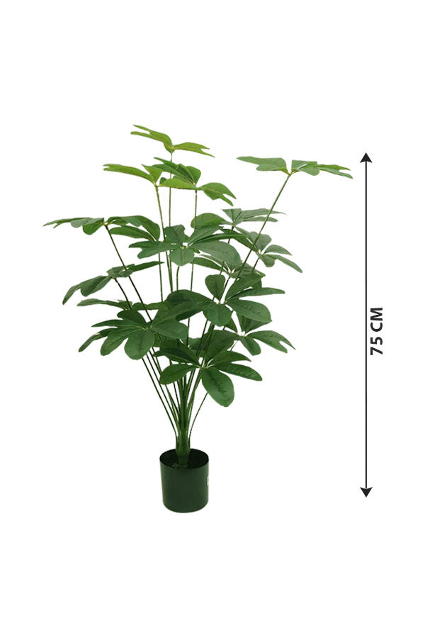 Buy Artificial Schefflera Arboricola Plant – Faux Indoor Greenery - Plantsworld.ae