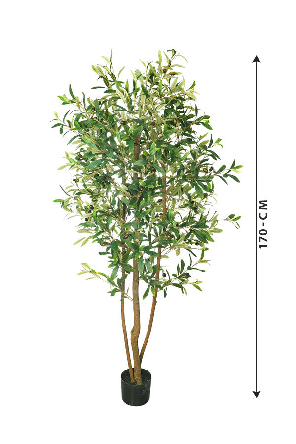 Artificial Olive Tree Plant - Plantsworld.ae