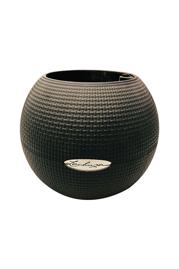 Self-Watering Fibre Bowl Pot - Plantsworld.ae