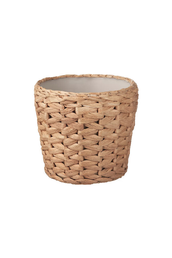 Cane Pot – Indoor - Plantsworld.ae