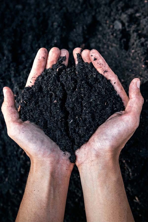 Premium Soil - Add On - Plantsworld.ae