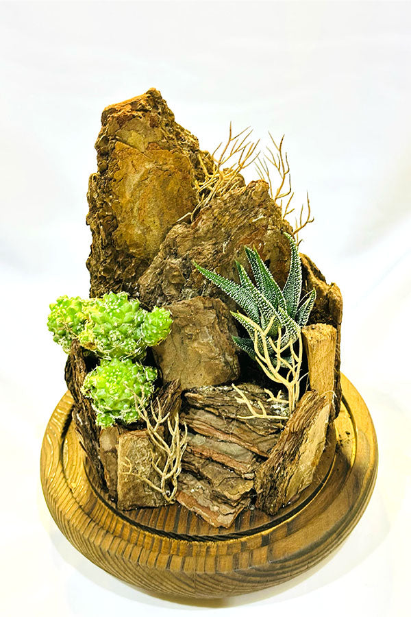 The Mountain Terrarium - Plantsworld.ae