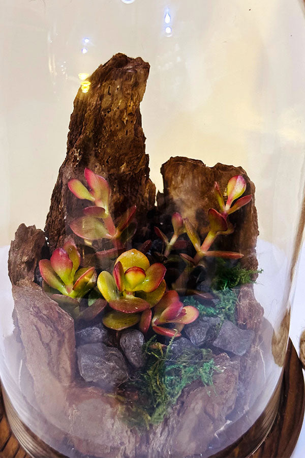 Verdant Vignettes - Terrarium - Plantsworld.ae