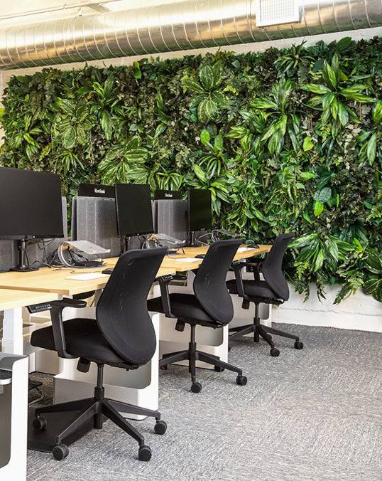 Custom living plant wall for office interior