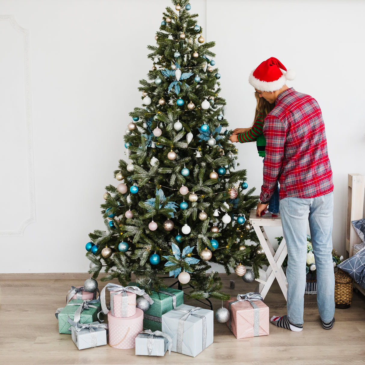 Nordmann Fir Rental – 9–10ft - Plantsworld.ae