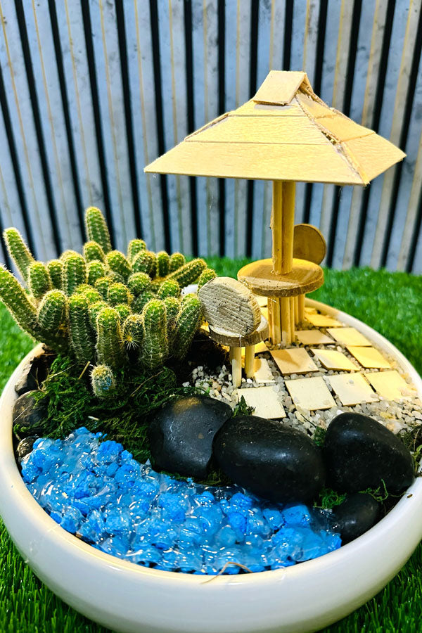 Fairy Garden Dish - Plantsworld.ae