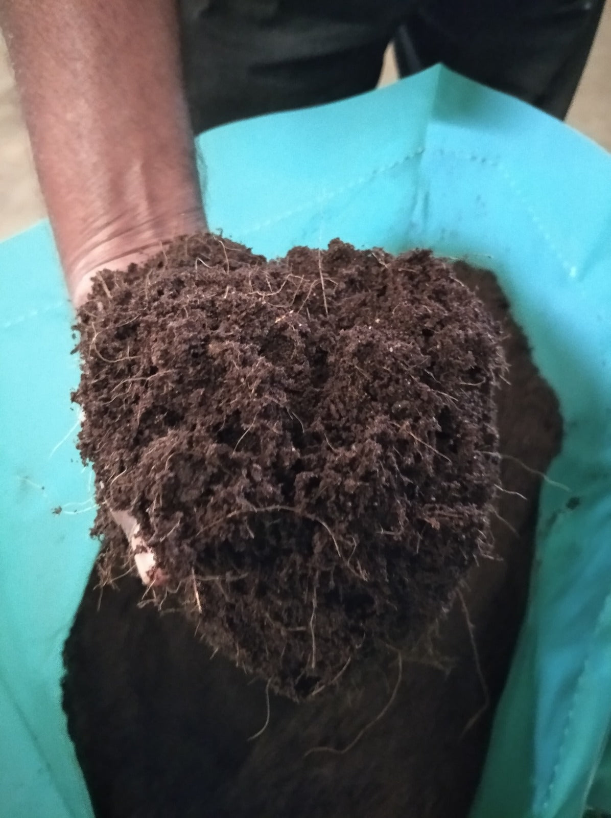 Shalimar Sphagnum Peat Moss Black - 300 LTR - Plantsworld.ae