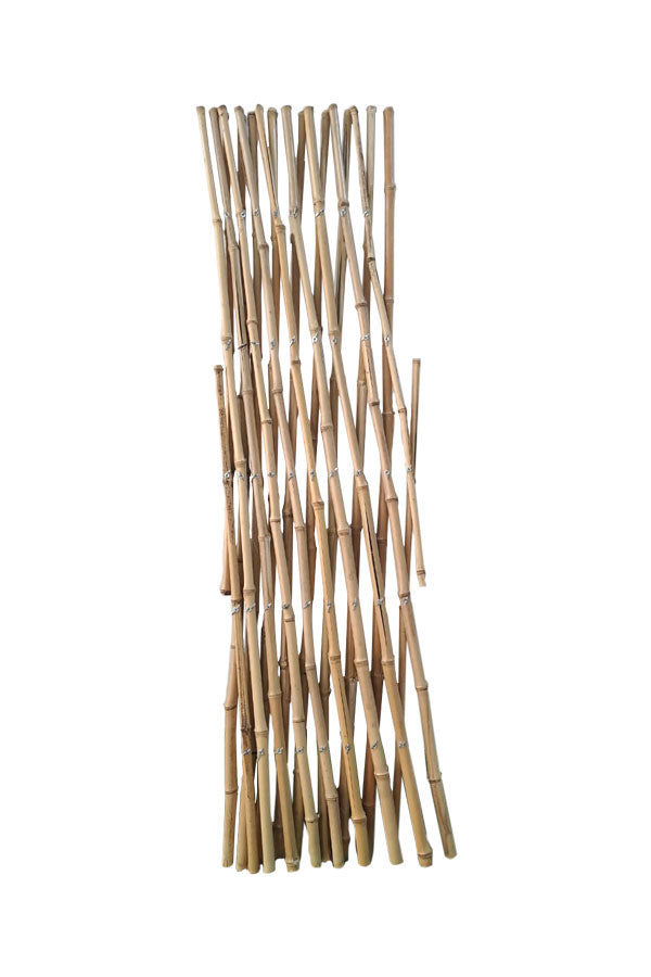 Bamboo expandable trellis for climbing plants and garden fencing