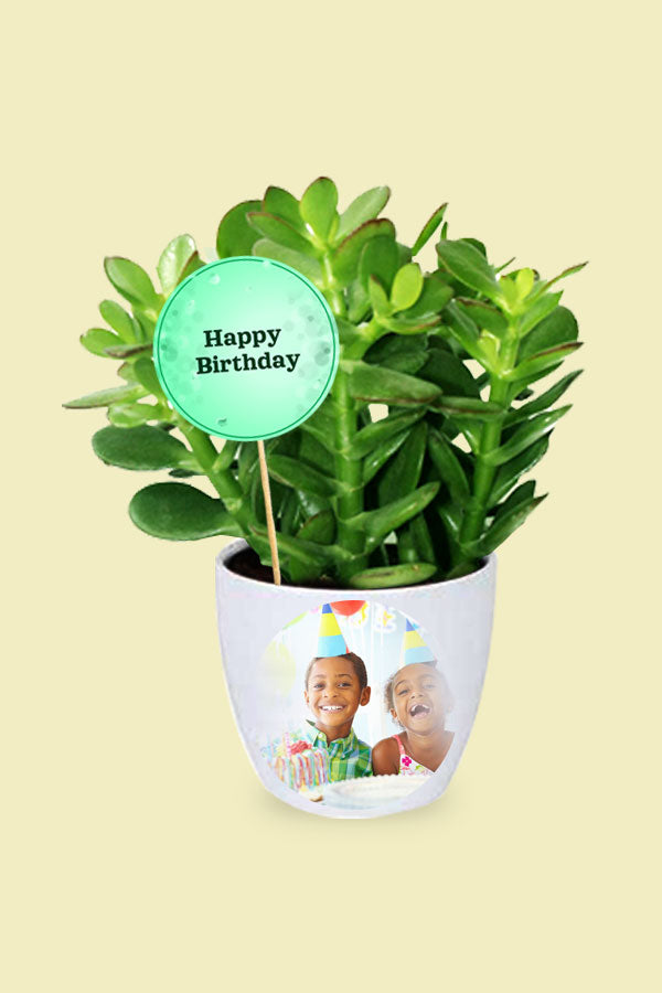 CrassuaOvata with Birthday card