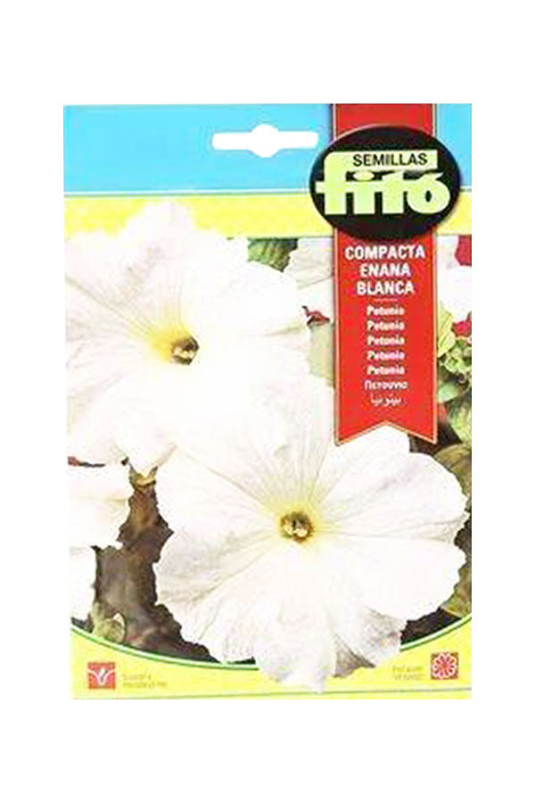 Fito Petunia 'Dwarf' Compact (600 mg, White) seeds for elegant white flowers. Easy to grow and perfect for containers. Available at Plantsworld.ae.