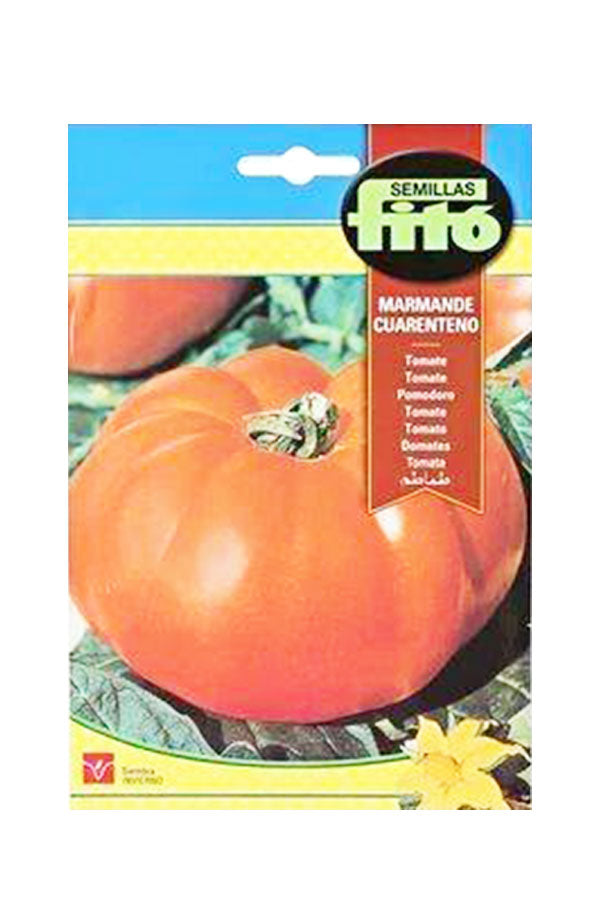 Marmande Cuarenteno Tomato Seeds by Fito for Organic Home Gardening
