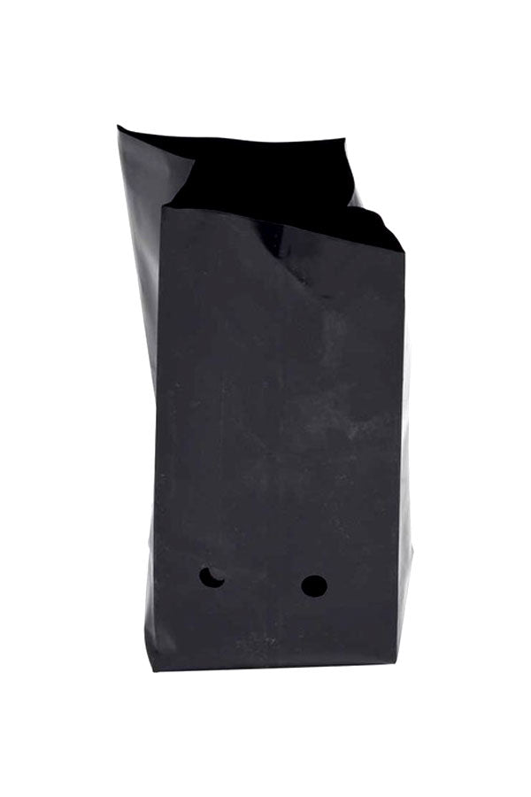 Plastic Nursery Grow Bags Plastic - Planters - Plantsworld.ae