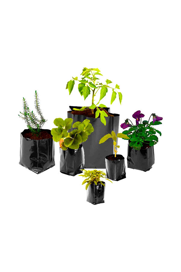 Plastic Nursery Grow Bags Plastic - Planters - Plantsworld.ae