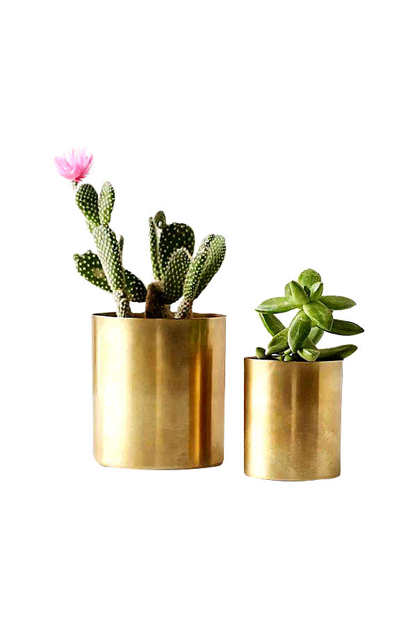 Stainless steel circular planter with elegant gold finishing for luxury indoor plant décor
