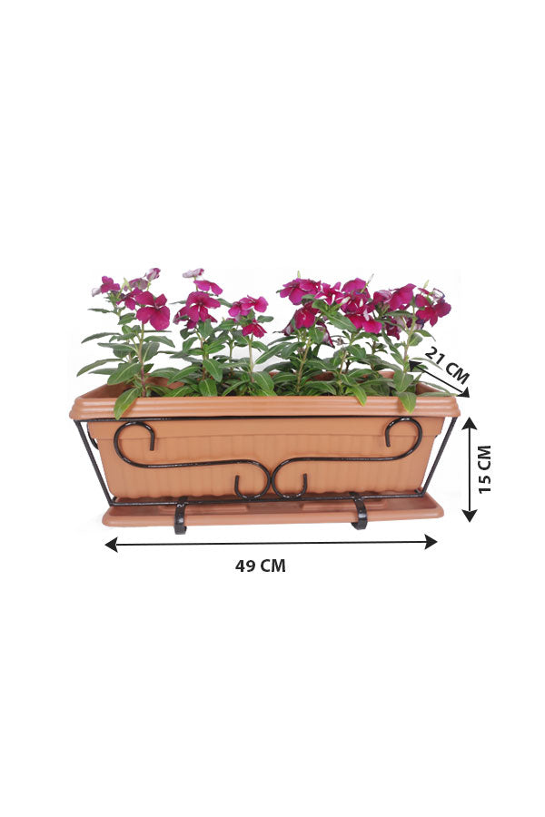 Vinca In Rectangular Pot - Plantsworld.ae