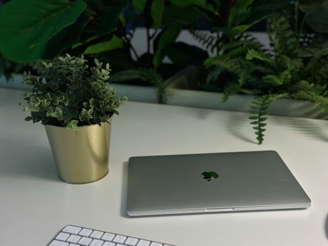 Green plants in a modern Dubai office setting — desk plants and corner plants