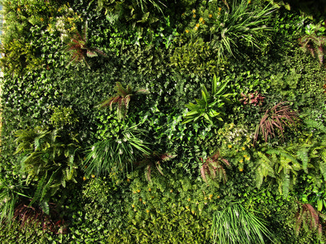 Lush vertical green wall garden on a Dubai building exterior with tropical plants