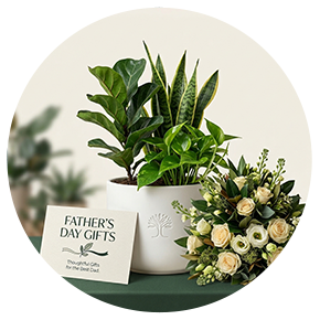 Fathers Day Gifts