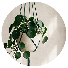 Hanging Planters