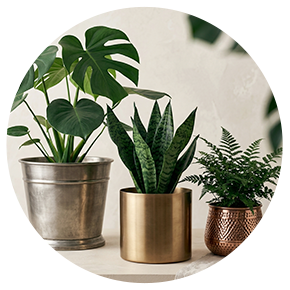 Metal Planters