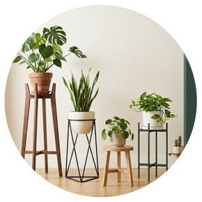 Plant Stands - Plantsworld.ae