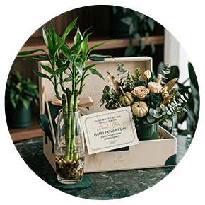 Premium Plants & Gifts for Dad