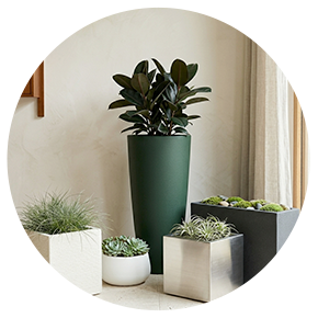 Fiber & GRP Planters - Plantsworld.ae