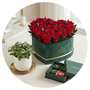 Valentine's Gifts - Plantsworld.ae
