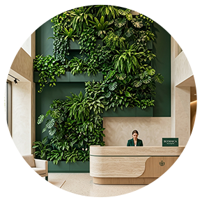 Vertical Garden - Plantsworld.ae