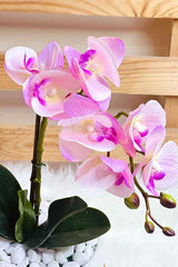 Faux Pink Orchid Arrangement - Plantsworld.ae