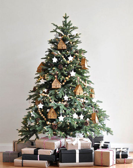 Nordmann fir Christmas tree