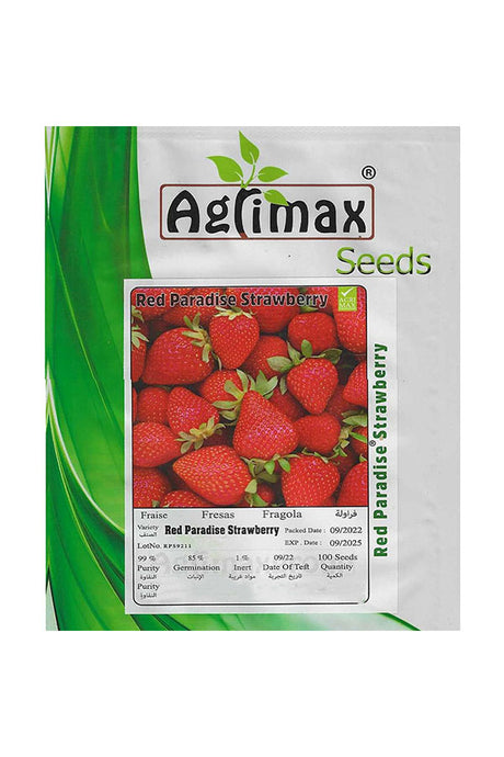 Red Paradise Strawberry Seeds – Premium Fruit Seeds for UAE Gardens and Containers