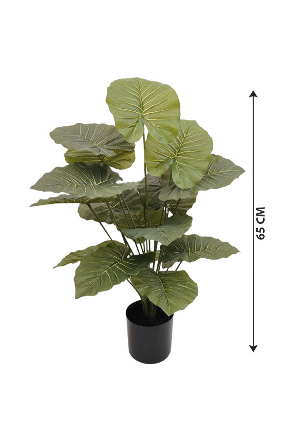 Artificial Alocasia Plant with Bold Arrow-Shaped Leaves - Plantsworld.ae