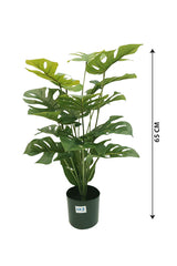 Long Lasting Artificial Monstera Plant - Plantsworld.ae