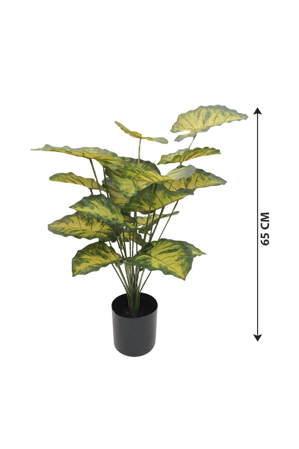Artificial Caladium Plant with Colorful Heart-Shaped Leaves - Plantsworld.ae