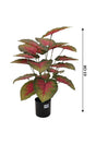 Artificial Caladium Plant with Colorful Heart-Shaped Leaves - Plantsworld.ae