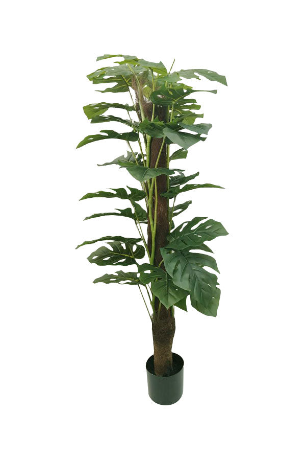 Long Lasting Artificial Monstera Plant - Plantsworld.ae