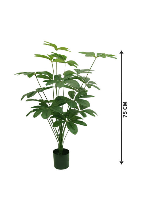 Buy Artificial Schefflera Arboricola Plant – Faux Indoor Greenery - Plantsworld.ae
