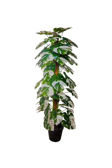 Artificial split-leaf Monstera plant for modern interiors