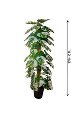 Artificial Plant - Monstera Varigated - Plantsworld.ae