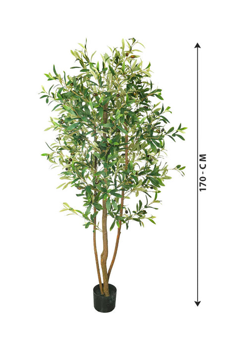 Artificial Olive Tree Plant - Plantsworld.ae