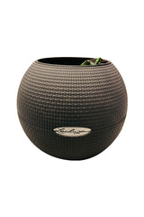 Self-Watering Fibre Bowl Pot - Plantsworld.ae