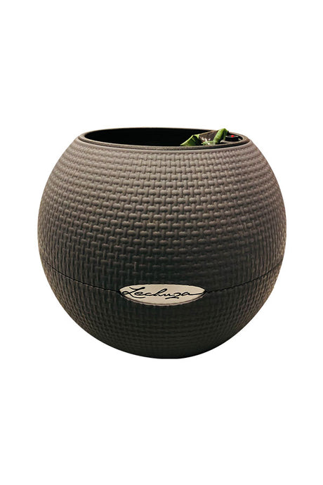 Self-Watering Fibre Bowl Pot - Plantsworld.ae