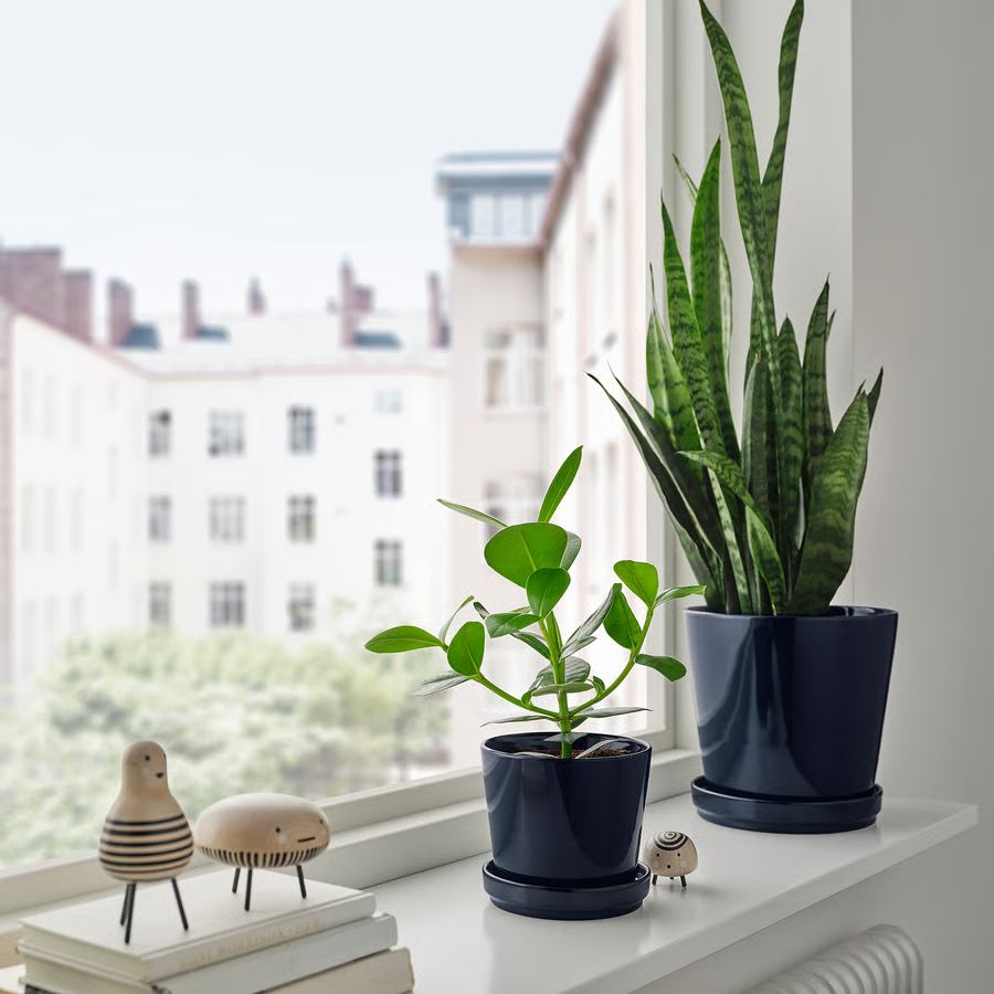Blue Horizon Planter - Plantsworld.ae