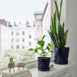 Blue Horizon Planter - Plantsworld.ae