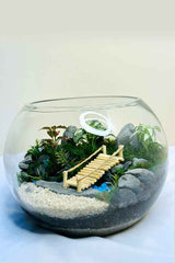 Botanic Beauty Terrarium - Plantsworld.ae