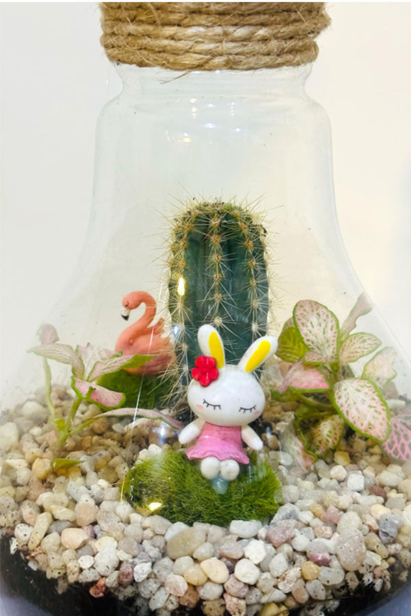 Botanical Bowl Beauties - Terrarium - Plantsworld.ae