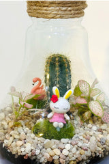 Botanical Bowl Beauties - Terrarium - Plantsworld.ae